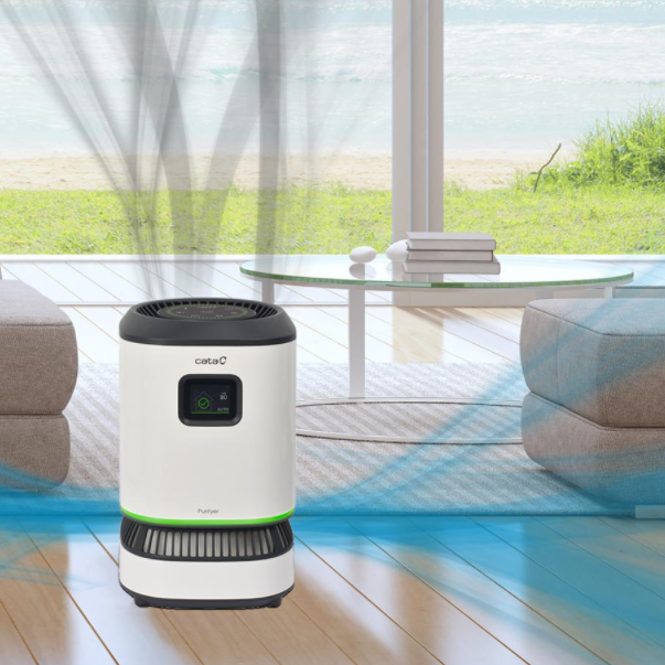 Air purifier electronics module with hybrid thick film technology